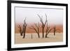 Tree Skeleton-Grobler du Preez-Framed Photographic Print