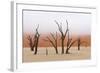 Tree Skeleton-Grobler du Preez-Framed Photographic Print