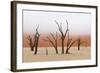 Tree Skeleton-Grobler du Preez-Framed Photographic Print