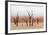 Tree Skeleton-Grobler du Preez-Framed Photographic Print