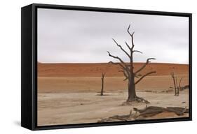 Tree Skeletons at Deadvlei, Namibia-Grobler du Preez-Framed Stretched Canvas