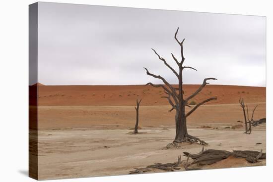 Tree Skeletons at Deadvlei, Namibia-Grobler du Preez-Stretched Canvas