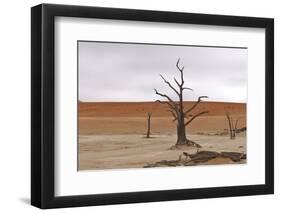 Tree Skeletons at Deadvlei, Namibia-Grobler du Preez-Framed Photographic Print