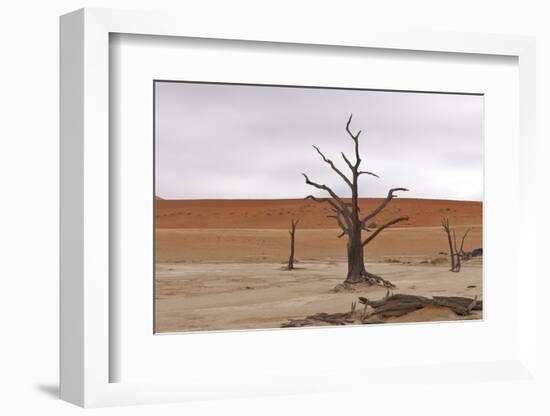 Tree Skeletons at Deadvlei, Namibia-Grobler du Preez-Framed Photographic Print