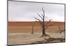 Tree Skeletons at Deadvlei, Namibia-Grobler du Preez-Mounted Photographic Print