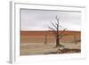 Tree Skeletons at Deadvlei, Namibia-Grobler du Preez-Framed Photographic Print