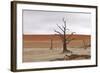 Tree Skeletons at Deadvlei, Namibia-Grobler du Preez-Framed Photographic Print