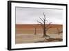 Tree Skeletons at Deadvlei, Namibia-Grobler du Preez-Framed Photographic Print