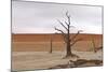 Tree Skeletons at Deadvlei, Namibia-Grobler du Preez-Mounted Photographic Print
