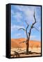 Tree Skeletons, Deadvlei, Namibia-Grobler du Preez-Framed Stretched Canvas