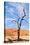 Tree Skeletons, Deadvlei, Namibia-Grobler du Preez-Stretched Canvas