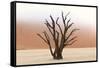 Tree Skeletons, Deadvlei, Namibia-Grobler du Preez-Framed Stretched Canvas