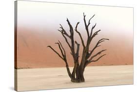 Tree Skeletons, Deadvlei, Namibia-Grobler du Preez-Stretched Canvas