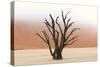 Tree Skeletons, Deadvlei, Namibia-Grobler du Preez-Stretched Canvas