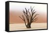 Tree Skeletons, Deadvlei, Namibia-Grobler du Preez-Framed Stretched Canvas