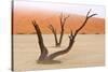 Tree Skeletons, Deadvlei, Namibia-Grobler du Preez-Stretched Canvas