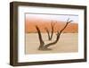 Tree Skeletons, Deadvlei, Namibia-Grobler du Preez-Framed Photographic Print