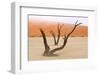 Tree Skeletons, Deadvlei, Namibia-Grobler du Preez-Framed Photographic Print