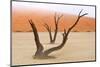 Tree Skeletons, Deadvlei, Namibia-Grobler du Preez-Mounted Photographic Print