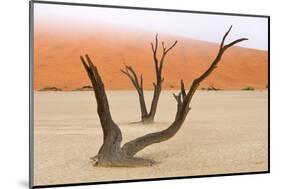 Tree Skeletons, Deadvlei, Namibia-Grobler du Preez-Mounted Photographic Print