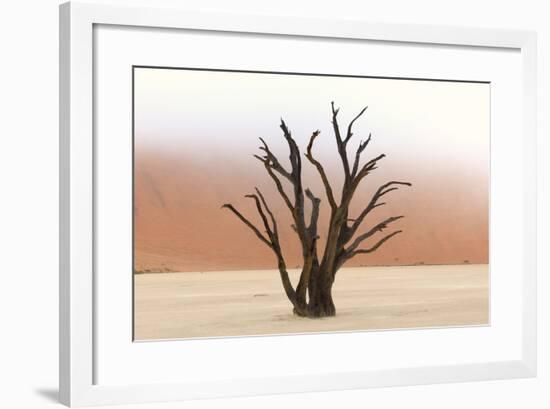 Tree Skeletons, Deadvlei, Namibia-Grobler du Preez-Framed Photographic Print