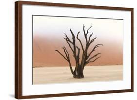 Tree Skeletons, Deadvlei, Namibia-Grobler du Preez-Framed Photographic Print