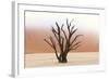 Tree Skeletons, Deadvlei, Namibia-Grobler du Preez-Framed Photographic Print