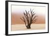 Tree Skeletons, Deadvlei, Namibia-Grobler du Preez-Framed Photographic Print