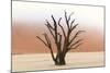 Tree Skeletons, Deadvlei, Namibia-Grobler du Preez-Mounted Photographic Print