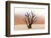 Tree Skeletons, Deadvlei, Namibia-Grobler du Preez-Framed Photographic Print