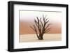 Tree Skeletons, Deadvlei, Namibia-Grobler du Preez-Framed Photographic Print