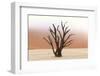 Tree Skeletons, Deadvlei, Namibia-Grobler du Preez-Framed Photographic Print