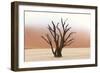 Tree Skeletons, Deadvlei, Namibia-Grobler du Preez-Framed Photographic Print