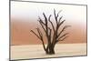 Tree Skeletons, Deadvlei, Namibia-Grobler du Preez-Mounted Photographic Print