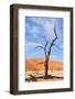 Tree Skeletons, Deadvlei, Namibia-Grobler du Preez-Framed Photographic Print