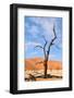 Tree Skeletons, Deadvlei, Namibia-Grobler du Preez-Framed Photographic Print