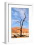 Tree Skeletons, Deadvlei, Namibia-Grobler du Preez-Framed Photographic Print