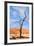 Tree Skeletons, Deadvlei, Namibia-Grobler du Preez-Framed Photographic Print