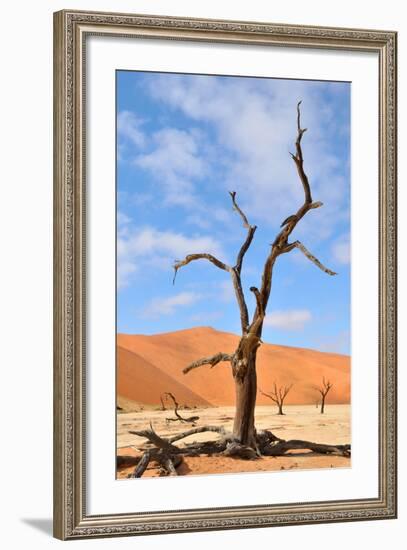 Tree Skeletons, Deadvlei, Namibia-Grobler du Preez-Framed Photographic Print