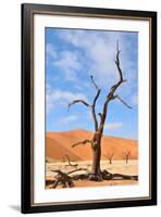 Tree Skeletons, Deadvlei, Namibia-Grobler du Preez-Framed Photographic Print