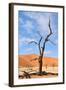 Tree Skeletons, Deadvlei, Namibia-Grobler du Preez-Framed Photographic Print