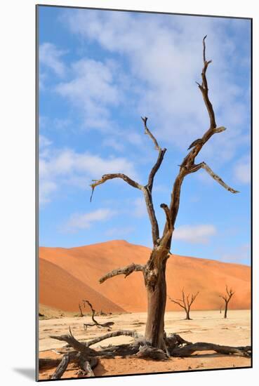 Tree Skeletons, Deadvlei, Namibia-Grobler du Preez-Mounted Photographic Print