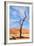 Tree Skeletons, Deadvlei, Namibia-Grobler du Preez-Framed Photographic Print