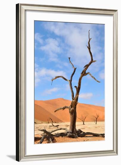 Tree Skeletons, Deadvlei, Namibia-Grobler du Preez-Framed Photographic Print