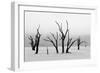 Tree Skeletons in Monochrome, Deadvlei, Namibia-Grobler du Preez-Framed Photographic Print