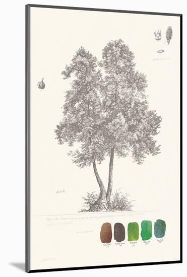 Tree Sketch - Birch-Maria Mendez-Mounted Art Print