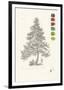 Tree Sketch - Larch-Maria Mendez-Framed Giclee Print