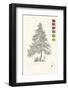 Tree Sketch - Larch-Maria Mendez-Framed Art Print