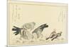 Tree Sparrow and Rock Dove, C. 1790-Kitagawa Utamaro-Mounted Giclee Print