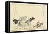 Tree Sparrow and Rock Dove, C. 1790-Kitagawa Utamaro-Framed Stretched Canvas